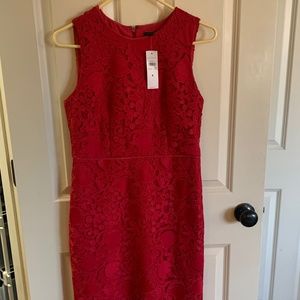 Cranberry color lace dress - never worn